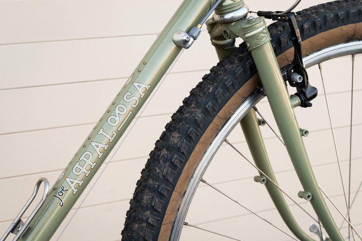 57cm Appaloosa Demo bike - Web Special